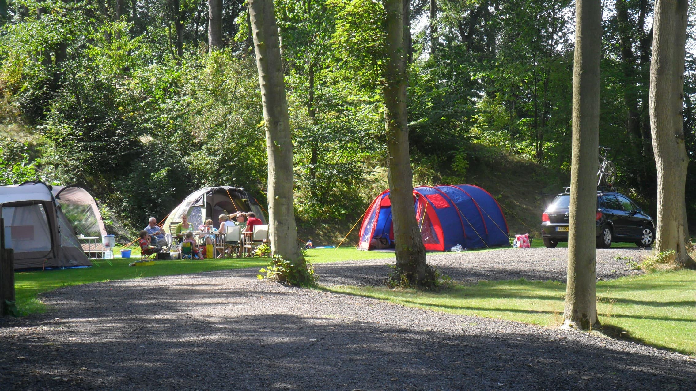 Golden Valley Caravan Park, photo 3 of 6